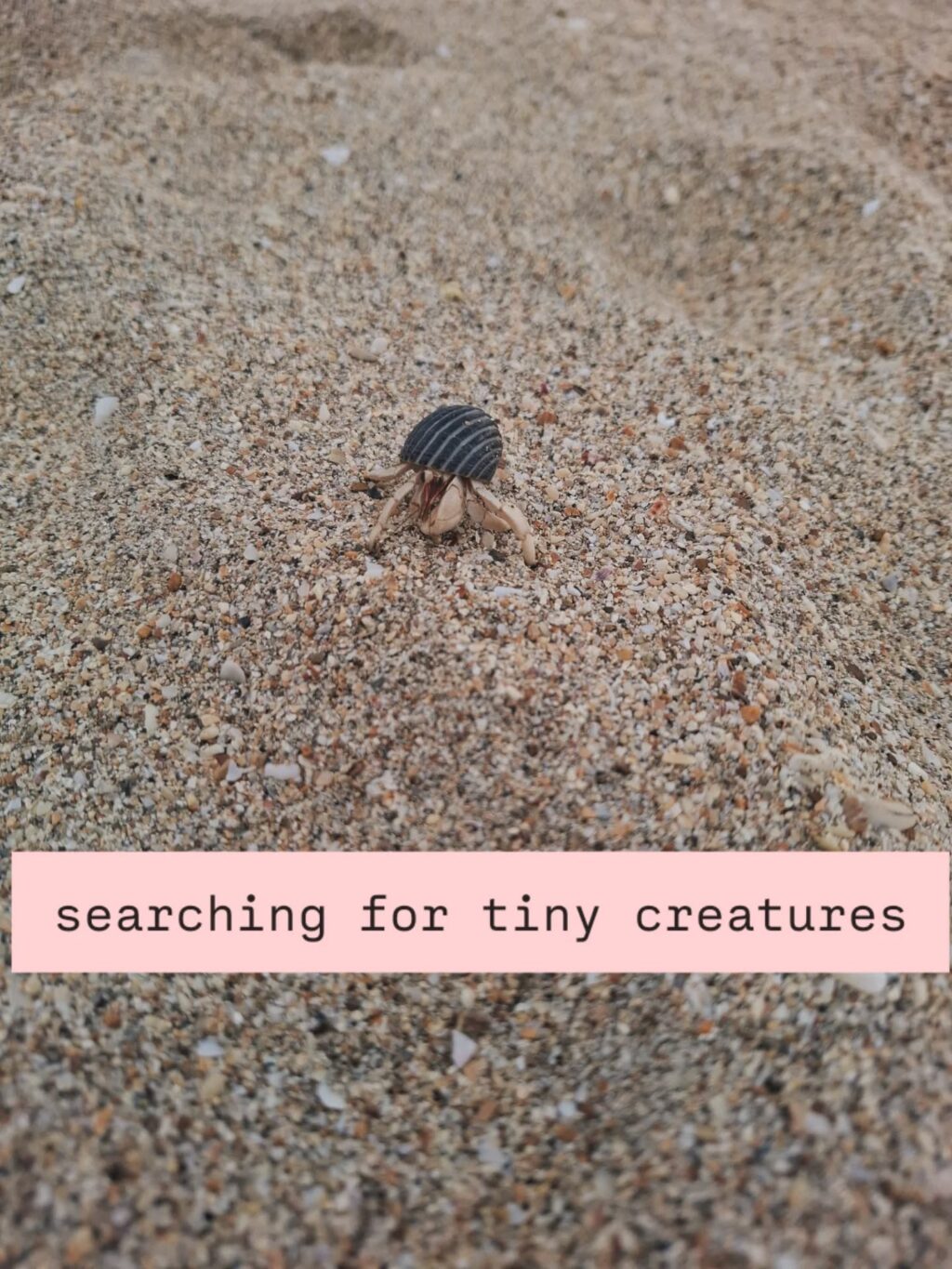 Instagram post from _joesmey. This post is in position 4.