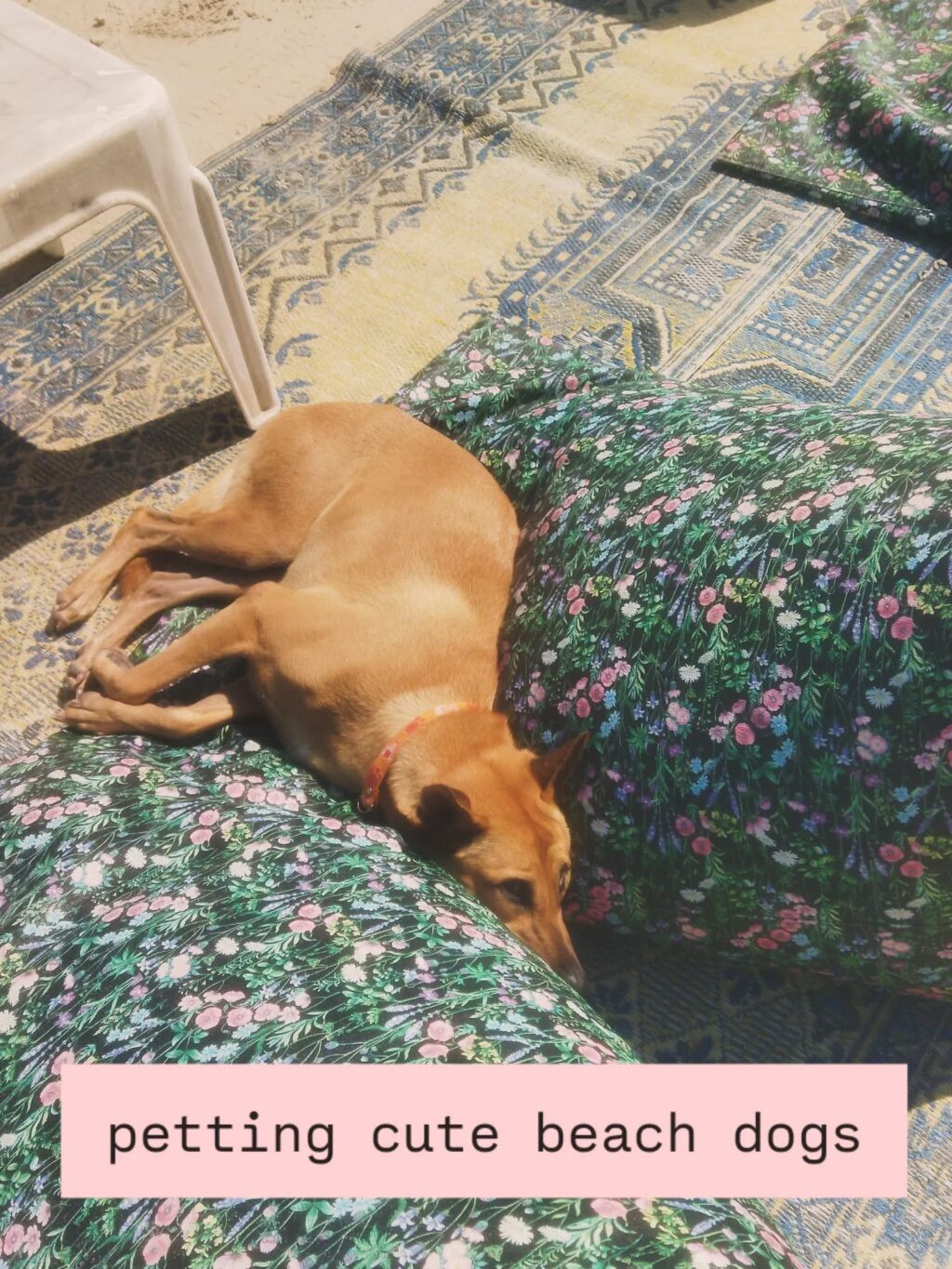 Instagram post from _joesmey. This post is in position 2.